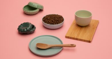 white ceramic bowl with brown wooden spoon